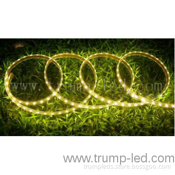 Bright 5630 led strip light  for Growing Plants